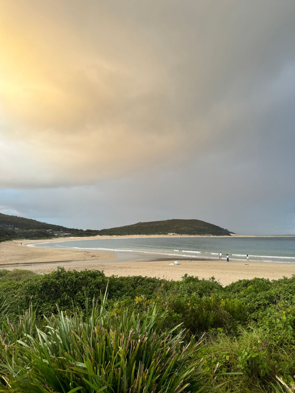 Sunset over New Zealand wild coastal beach